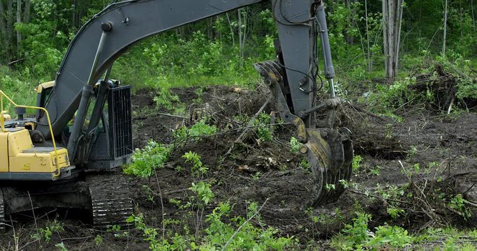 Excavator clearing forest - wide side profile