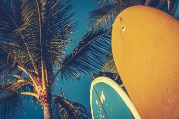 Vintage Surfboards And Palms