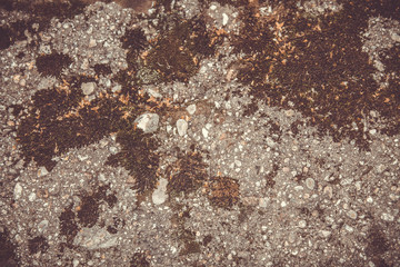 Gray stone wall background