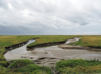 UNESCO-Weltnaturerbe - Nationalpark Wattenmeer 
