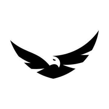 Eagle Logo. Icon design. Template elements