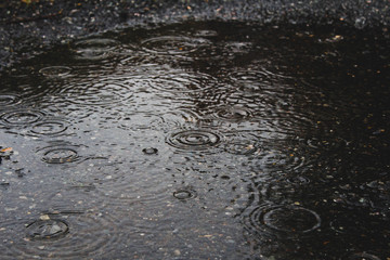 Rain on puddle