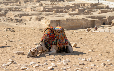 pyramids of giza in egypt