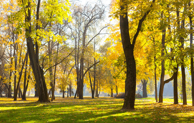 Beautiful Nature Autumn landscape on Sunny day