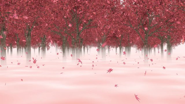 モミジの森を進む_ループ