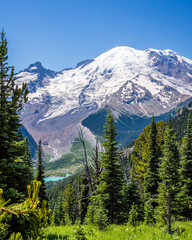 View of Mount Rainier from Sunrise trail