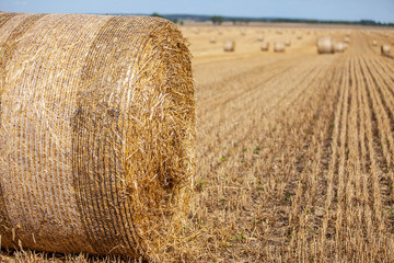 Strohballen mit Blick auf den Acker mit weiteren Rundballen © Stefan Werner