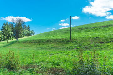Fototapeta na wymiar Grüner Hügel mit Bäumen und einem blauen Himmel