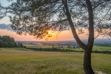 Fototapeta premium View of summer sunset behind the tree in France.