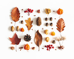 Autumn composition. Pattern made of dried leaves, flowers, berries on white background. Autumn, fall, thanksgiving day concept. Flat lay, top view - 283391024