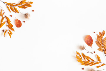 Autumn composition. Dried leaves, rowan berries on white background. Autumn, fall, thanksgiving day concept. Flat lay, top view, copy space
