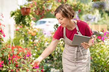 Young female gardener with tablet bending over flowerbed