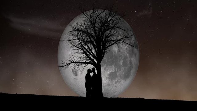 Part k&uuml;sst sich unter Baum vor sich drehendem Mond 