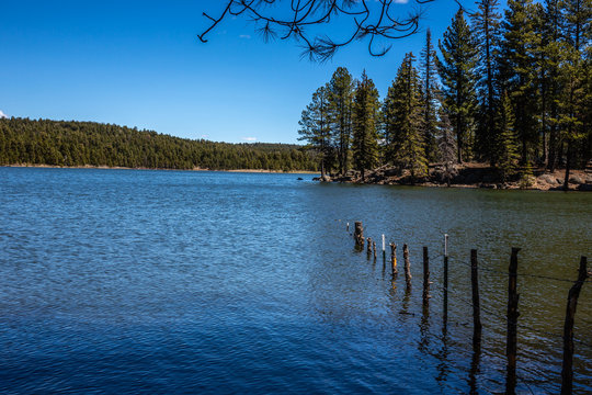 A fence line succumbs to the waters of Hawley Lake swollen by melting snow. White Mountains of east central Arizona.