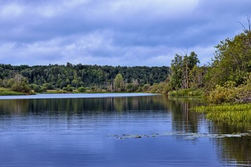 Fototapeta na wymiar landscape with a lake on a background of trees