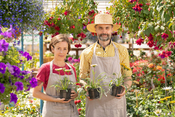Young and mature gardeners with potted flowers standing between flowerbeds