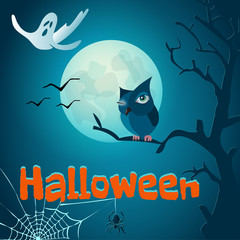 Halloween An owl sits on a tree branch in a dark forest and the full moon shines.