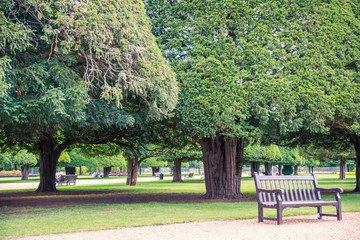 London, UK. West London Bushy park. Beautiful english garden view, with lots of trees and flowers. English nature.