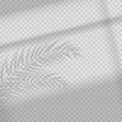 Transparent shadow overlay effect. Tropic leaf and window blind. Photo-realistic illustration with palm leaves.