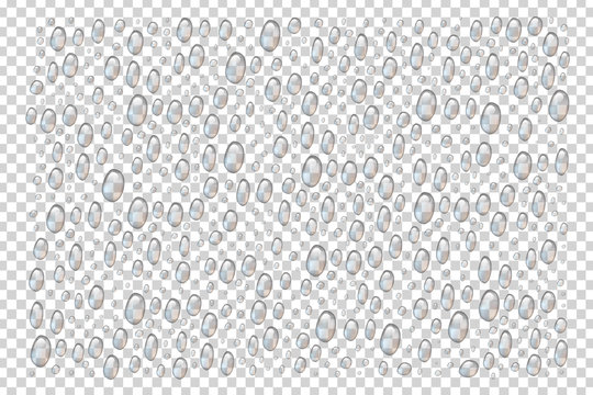 Vector set of realistic isolated water droplets for template decoration and covering on the transparent background.