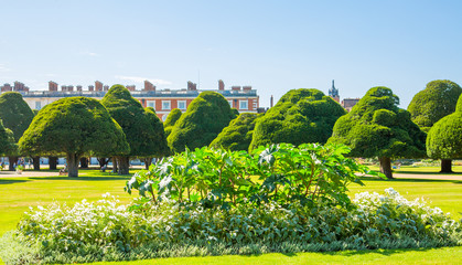 London, UK. West London Bushy park. Beautiful english garden view, with lots of trees and flowers....