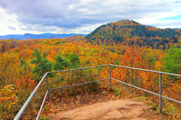 Fototapeta premium Pfälzer Wald im Herbst - in Palatinate Forest in autumn