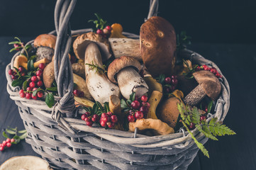 Close-up basket with wild mushrooms and berries on a dark background. Horizontal shot