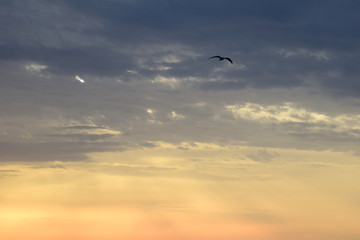 Wolken bei Sonnenaufgang über dem Meer