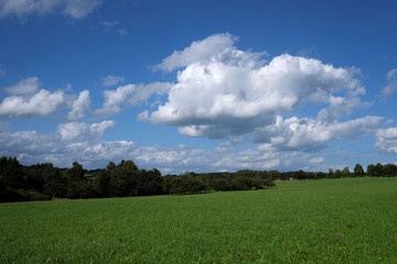 Landscape in Germany with green meadow and trees and hedges and blue sky with white clouds - Stockphoto