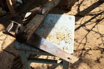 Wood with handsaw in garden