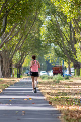 Joggerin im sommerlichen Outfit trainiert für einen Marathon oder Halbmarathon und läuft durch einen Allee im Sommer einen Fahrradweg entlang