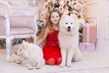  Girl and samoyed husky dog. Christmas