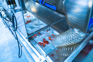 Food industry. Conveyor for shock freezing of seafood. Shrimp on the conveyor line. Deep freezing...