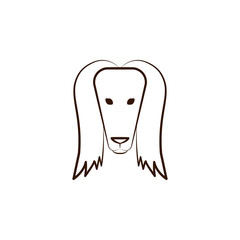Afghan hound icon. One of the dog breeds hand draw icon
