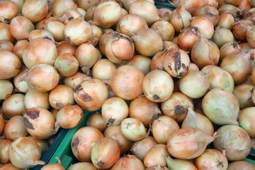 fresh onions at the market