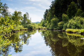 Beautiful wild forest lake in summer sunny day