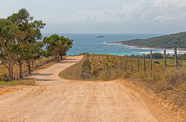 Fototapeta na wymiar Road to Capo di Feno beach near Ajaccio, Corsica, France.
