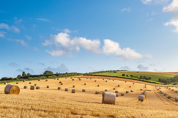 An idyllic countryside view, with hay bales in a field in the summer sunshine - obrazy, fototapety, plakaty