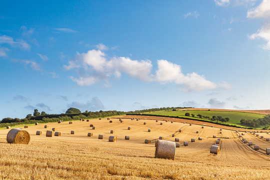 An idyllic countryside view, with hay bales in a field in the summer sunshine