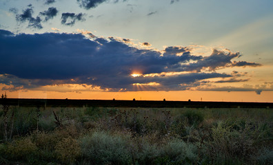 sunset in the steppe, rural landscape