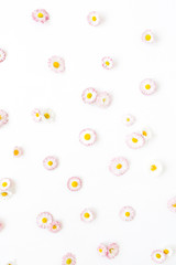 Floral composition with daisy chamomile flower buds on white background. Flat lay, top view florist blog hero header, summer blossom pattern.