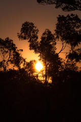 Fototapeta na wymiar Orange Sunset 