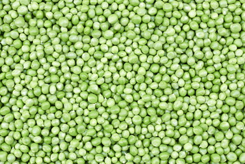 Garden peas flat background texture, looking at green sweet fresh vegetable from above, overhead top view, agrarian harvest and healthy vegetarian food concept