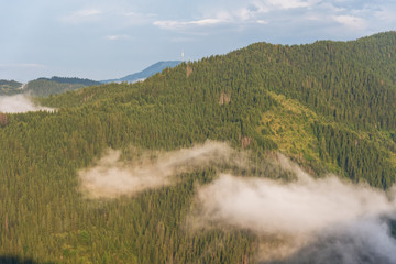 Aerial view of tropical rainforest covered by cloud and fog.