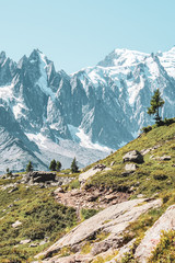 Alpine landscape with snow capped mountains including the highest mountain of Europe Mount Blanc. Late summer near Chamonix, France. French Alps in summer. Adventure, mountain hiking. Vertical photo