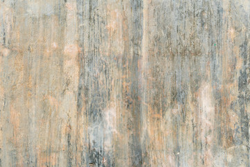 Background and textured of fungus flows a long way on the cement wall.