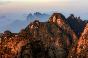 Obraz premium Sanqingshan, Mount Sanqing National Park - Jiangxi Province China. National Geopark and Sacred Taoist Mountain, UNESCO World Heritage. Exotic Pine Trees, Yellow Granite Mountains, similar to Huangshan