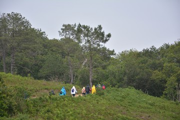 Randonneurs dans le Trégor. Bretagne
