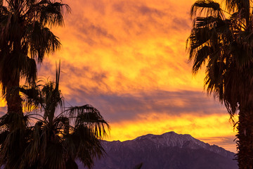 Fototapeta na wymiar Sunset and palm trees