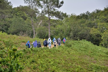 Randonneurs dans le Trégor. Bretagne